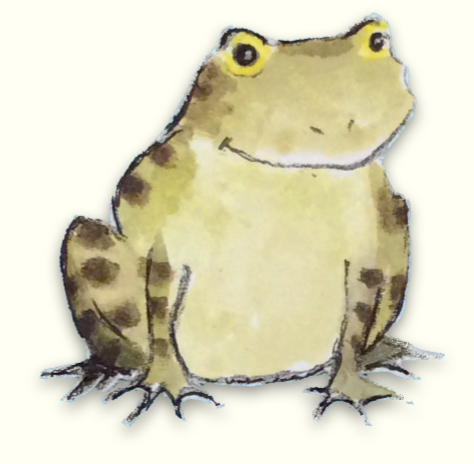 frog3
