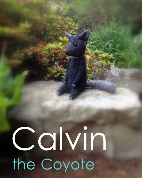 Calvin1