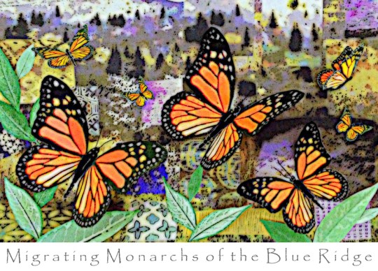 Migrating Monarchs 1