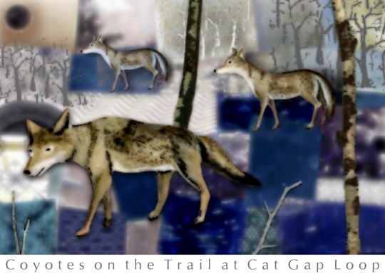 butter38-001-9003-lighter