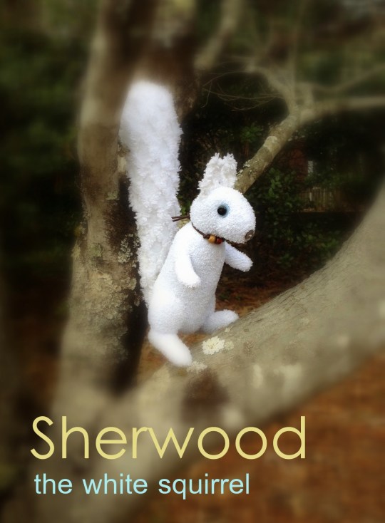 sherwood