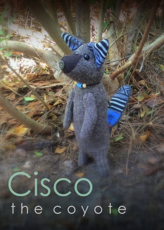 Cisco