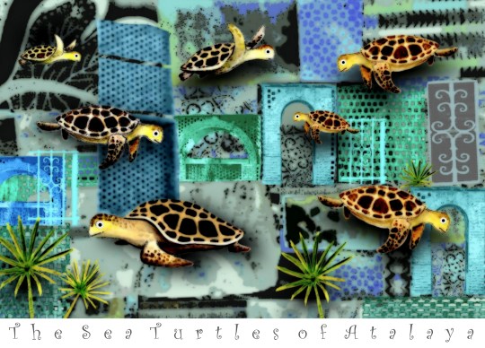 Turtles of Atalaya