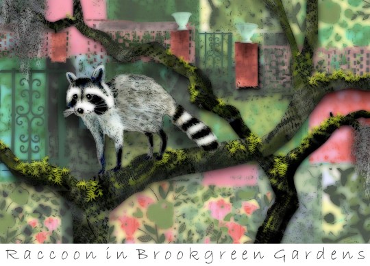 Raccoon in Brookgreen Gardens