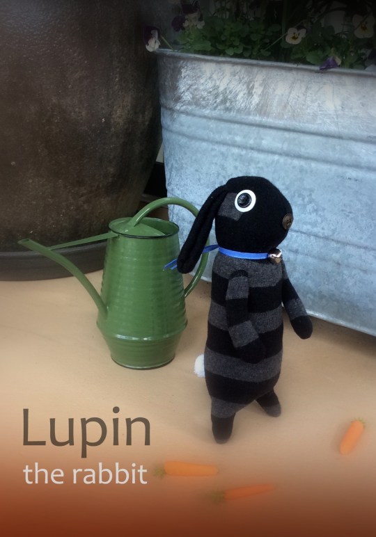 Lupin
