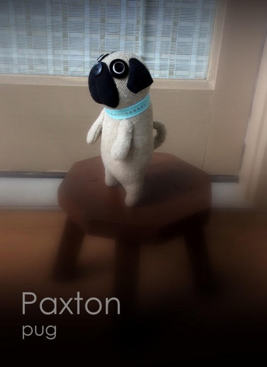 Paxton