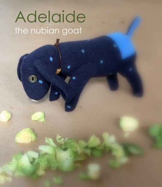 Adelaide