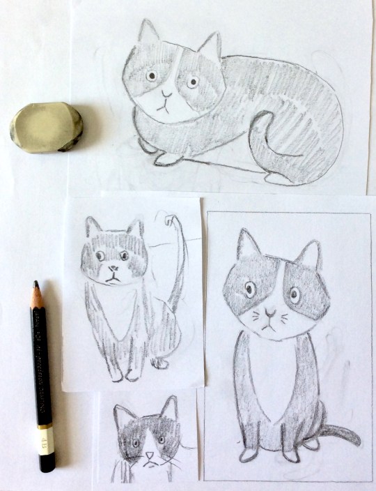cat study