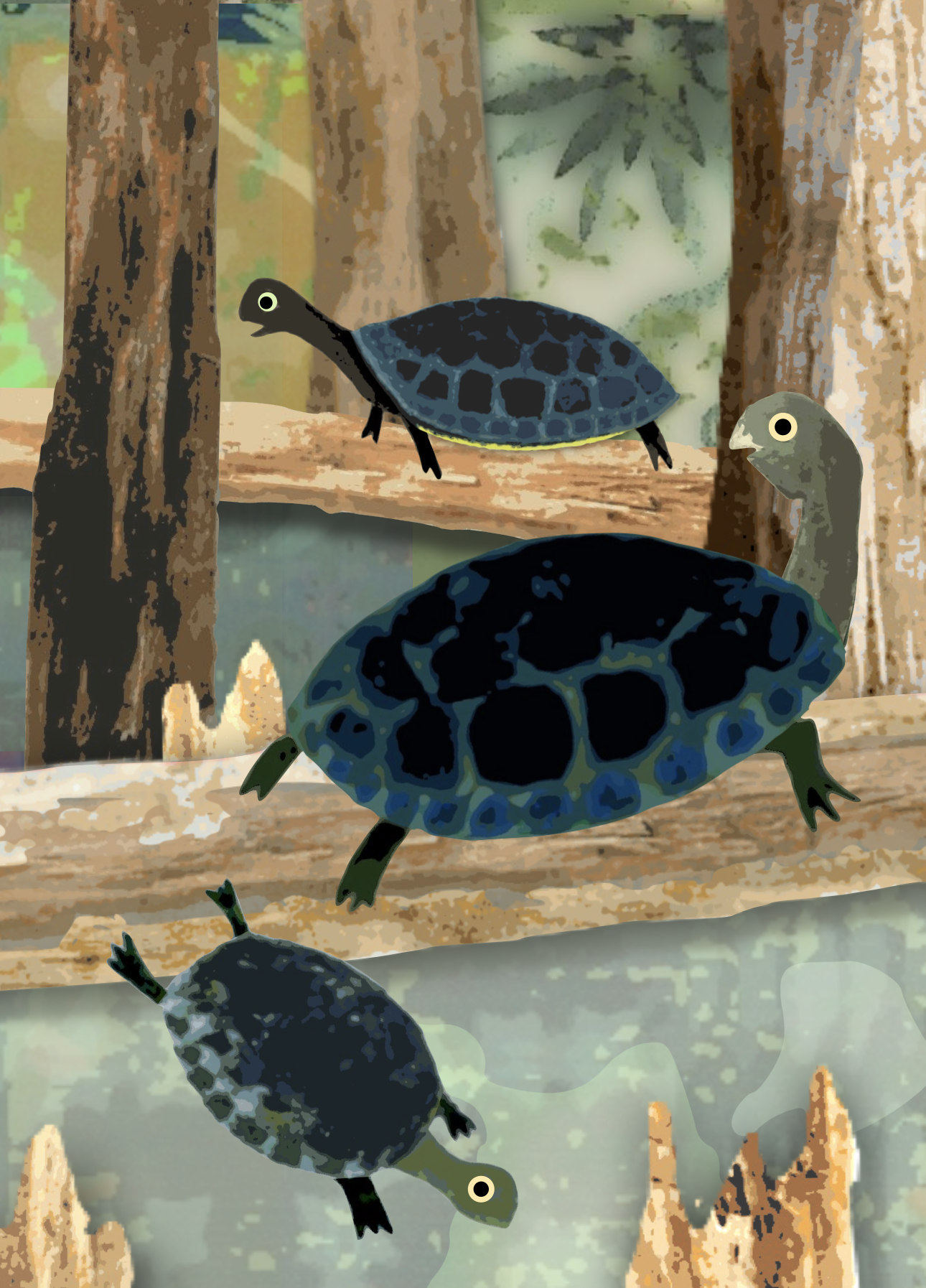 larger vertical turtles